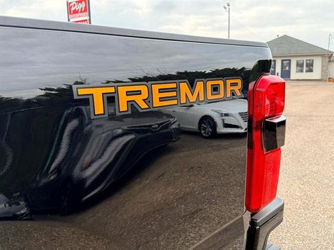 Used 2024 Ford F250 Platinum w/ Tremor Off-Road Package image 20