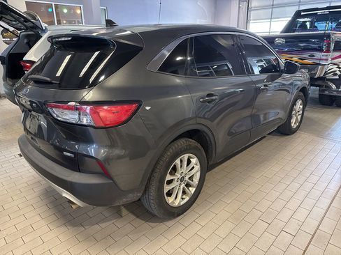 Used 2020 Ford Escape SE AWD/4WD image 4