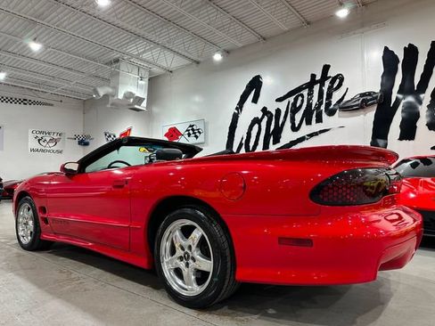 Used 2002 Pontiac Firebird Trans Am RWD image 4