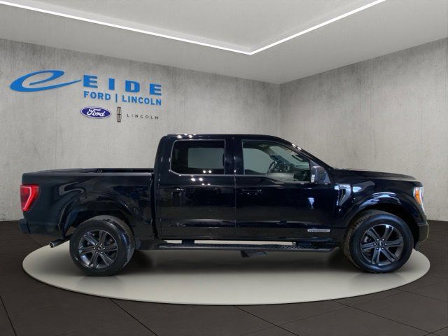 Used 2023 Ford F150 XLT w/ Equipment Group 302A High AWD/4WD image 7
