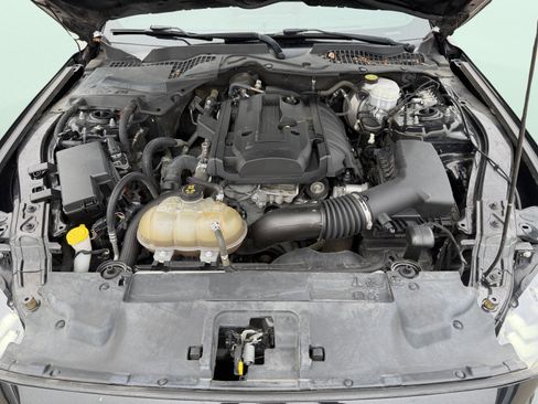 Used 2019 Ford Mustang Coupe image 12