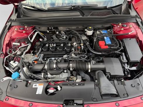 Used 2021 Honda Accord EX-L image 11