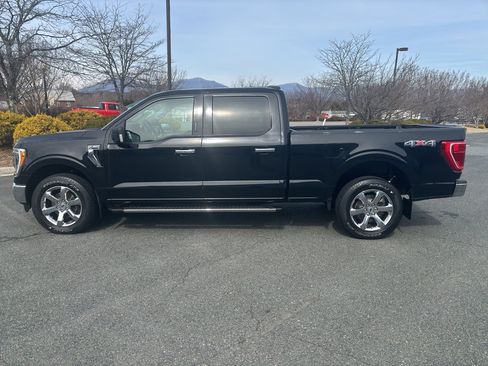 Used 2021 Ford F150 XLT w/ Equipment Group 302A High image 8