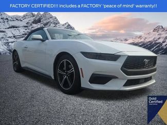 Used 2025 Ford Mustang Premium RWD 360° Tour
