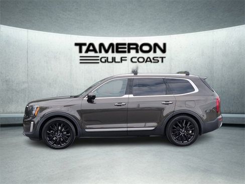 Used 2020 Kia Telluride SX w/ SX Prestige Package image 2