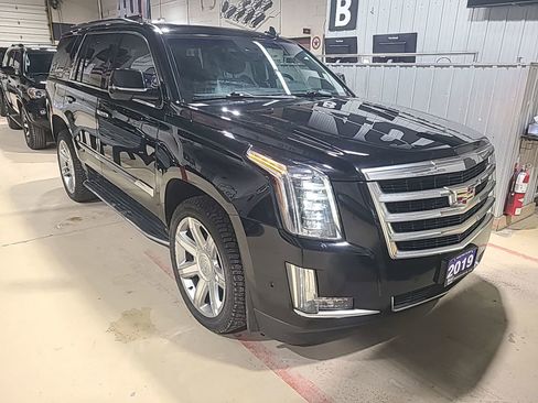 Used 2019 Cadillac Escalade Luxury image 5