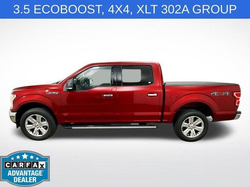 Used 2019 Ford F150 XLT w/ Equipment Group 302A Luxury AWD/4WD image 4