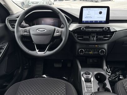 Used 2024 Ford Escape Active