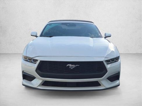 Used 2024 Ford Mustang Premium RWD image 2