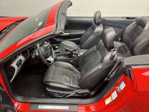 Used 2015 Ford Mustang Premium w/ Equipment Group 201A RWD image 9