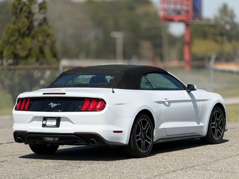 Used 2023 Ford Mustang Premium RWD image 9