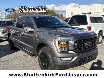 Used 2023 Ford F150 XLT w/ Equipment Group 302A High