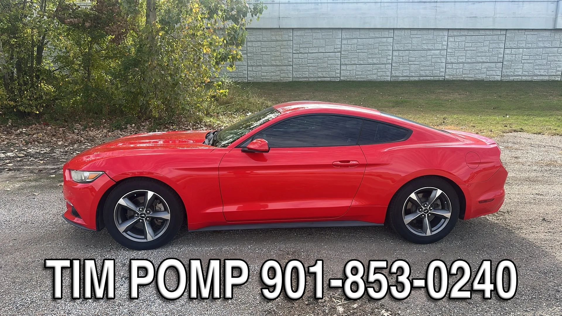 Used 2015 Ford Mustang Coupe w/ Equipment Group 051A RWD image 2