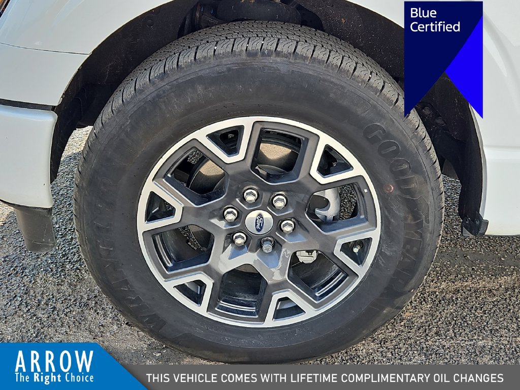 Certified 2025 Ford F150 STX w/ Equipment Group 200A RWD image 17