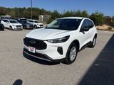 Used 2024 Ford Escape Active image 4