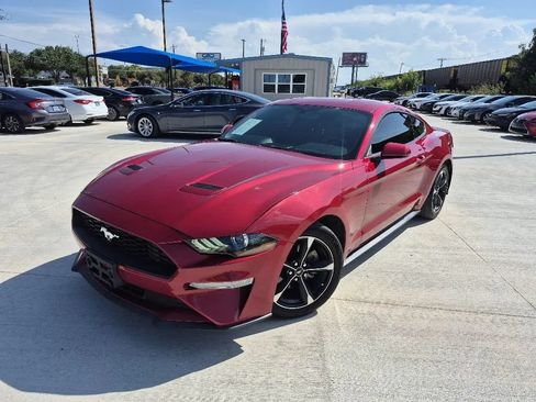 Used 2020 Ford Mustang Coupe RWD image 1