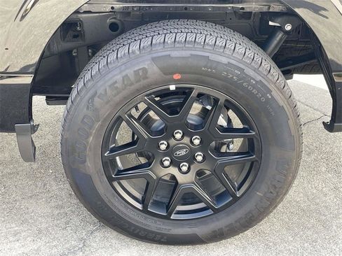 Used 2024 Ford F150 STX w/ STX Black Appearance Package image 9