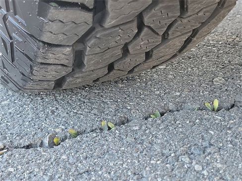 Used 2022 Nissan Pathfinder SL w/ SL Black Package image 33