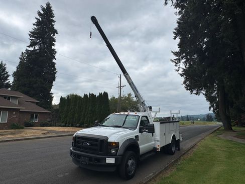 Used 2010 Ford F550 4x4 Regular Cab Super Duty image 4