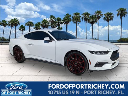 Used 2024 Ford Mustang Premium image 1