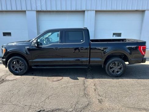 Used 2023 Ford F150 XLT w/ Equipment Group 302A High AWD/4WD image 3