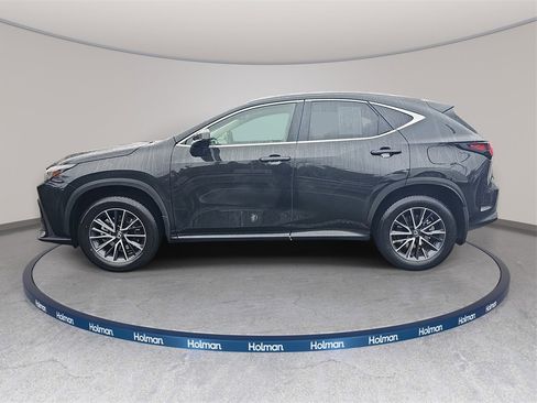 Certified 2025 Lexus NX 350h AWD w/ Cold Area Package image 8