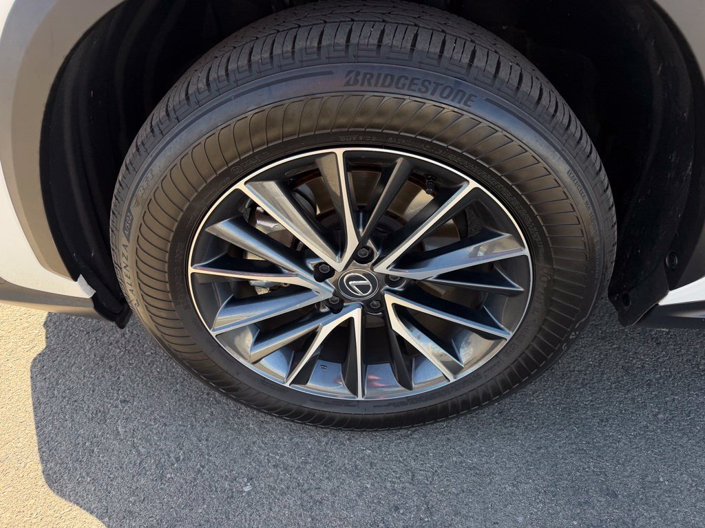 Used 2025 Lexus NX 250 AWD w/ Cold Area Package image 9