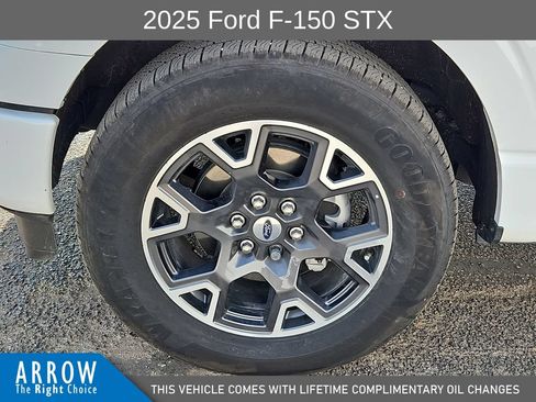 Used 2025 Ford F150 STX w/ Equipment Group 200A RWD image 17