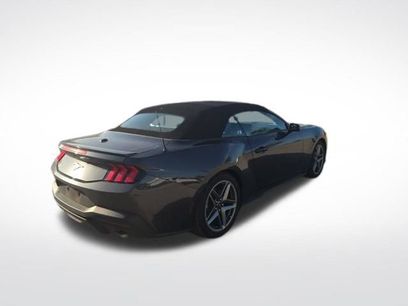 Used 2024 Ford Mustang Premium