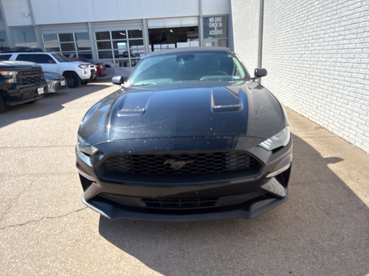 Used 2022 Ford Mustang Premium RWD image 6