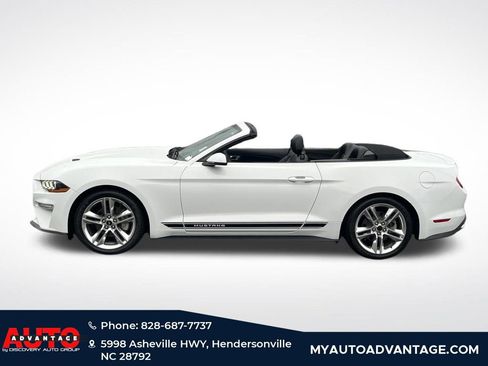 Used 2019 Ford Mustang Premium w/ Equipment Group 201A image 5