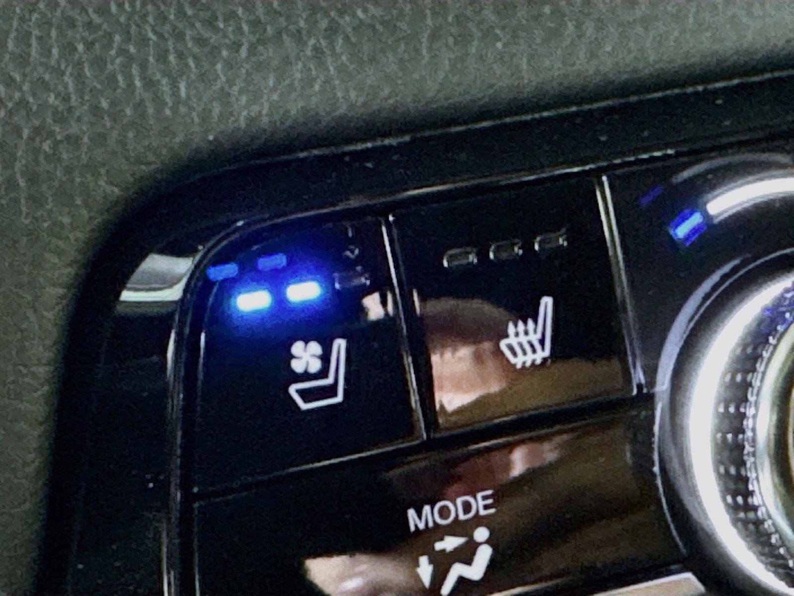 New 2026 Honda Passport TrailSport Elite image 16