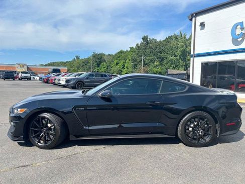 Used 2016 Ford Mustang Shelby GT350 w/ Technology Package RWD image 3