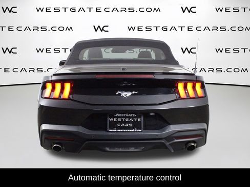 Used 2024 Ford Mustang Premium RWD image 4