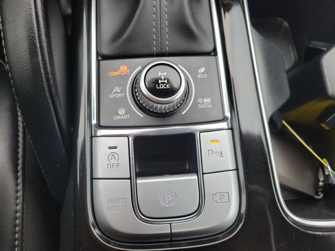 Used 2024 Kia Telluride SX Prestige X-Pro image 32