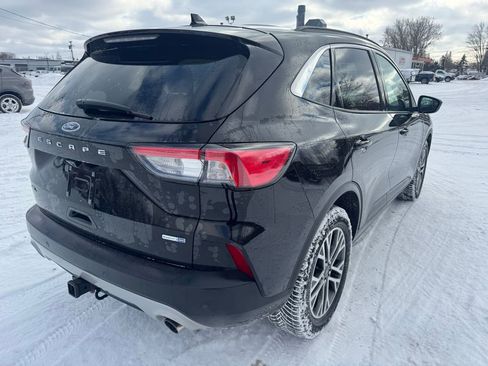 Used 2020 Ford Escape SEL image 5