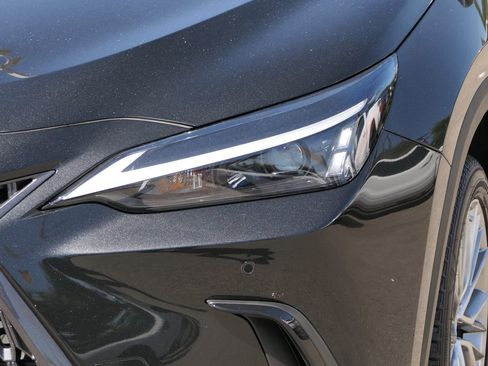 Used 2025 Lexus NX 350h AWD w/ Cold Area Package image 8
