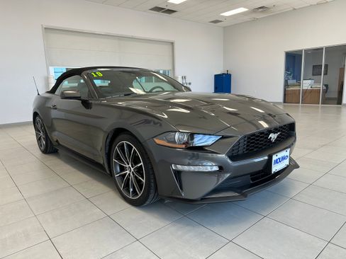 Used 2019 Ford Mustang Premium w/ Equipment Group 201A RWD image 4