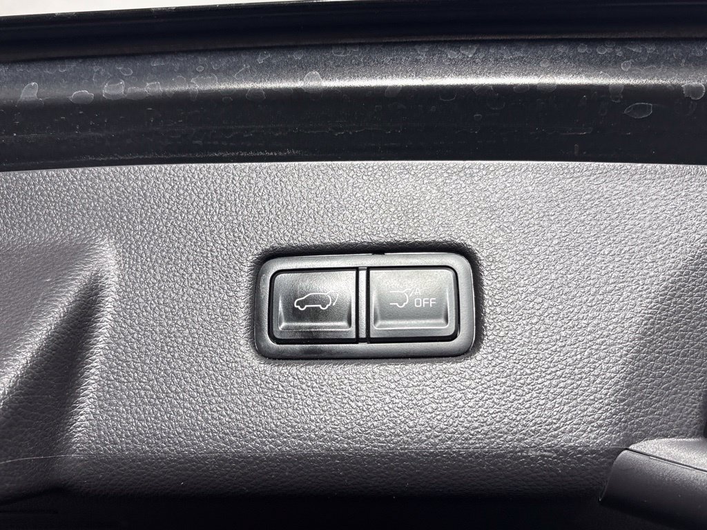 Used 2024 Kia Carnival SX Prestige FWD image 24