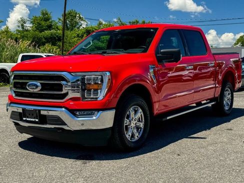 Used 2023 Ford F150 XLT w/ Equipment Group 302A High AWD/4WD image 7