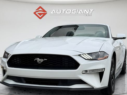 Used 2019 Ford Mustang Premium RWD image 4