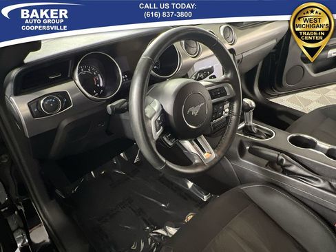 Used 2019 Ford Mustang EcoBoost w/ Equipment Group 101A image 11