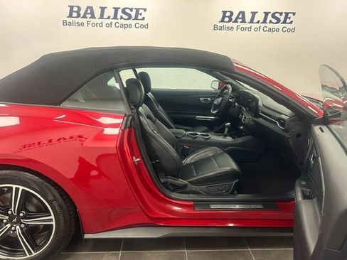 Used 2024 Ford Mustang Premium RWD image 12