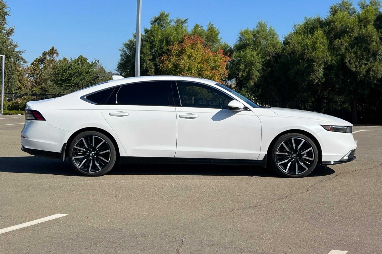 Used 2025 Honda Accord Touring image 3