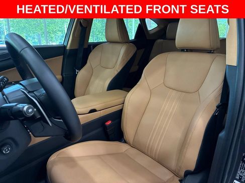 Certified 2025 Lexus NX 250 FWD w/ Cold Area Package image 13