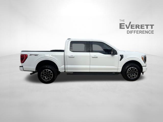 Used 2023 Ford F150 XLT w/ Equipment Group 302A High AWD/4WD image 8