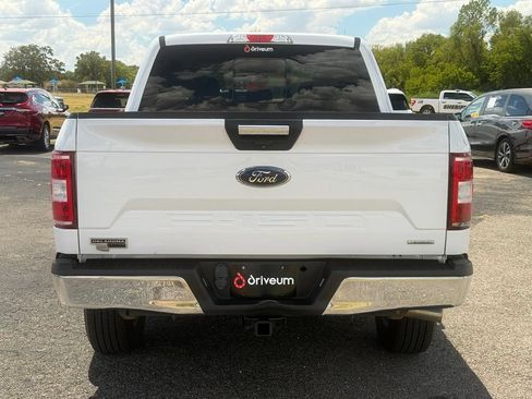 Used 2019 Ford F150 XLT w/ Equipment Group 302A Luxury AWD/4WD image 5