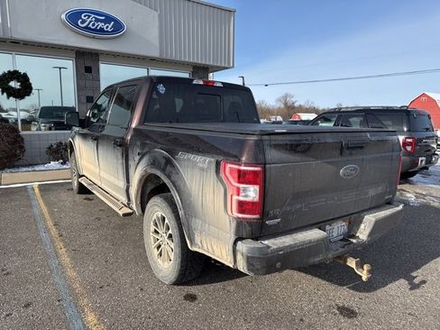 Used 2019 Ford F150 XLT w/ Equipment Group 302A Luxury image 8