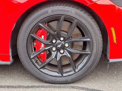 Certified 2025 Ford Mustang GT Premium w/ Mustang Nite Pony Package image 8