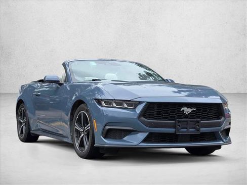 Used 2024 Ford Mustang Premium RWD image 3